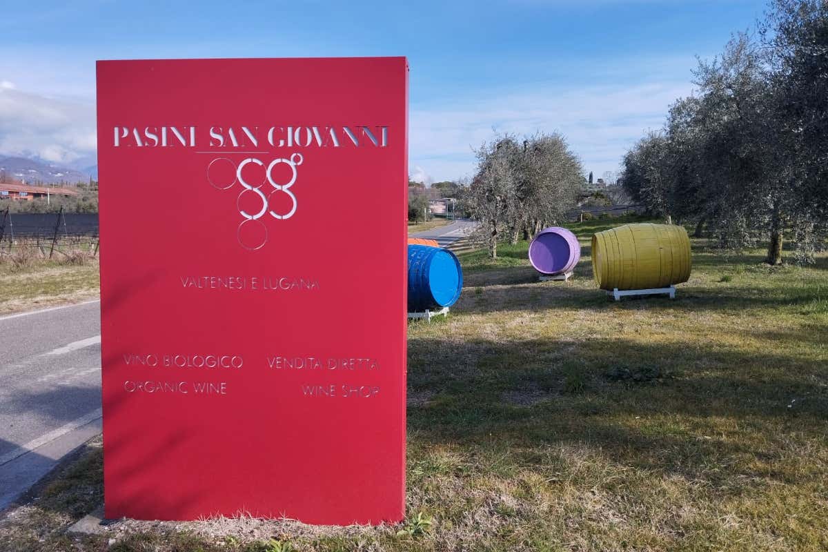 C per Pasini: il Chiaretto della Valtènesi su cui puntano i quattro cugini